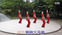 凤凰香香广场舞—大家一起来跳舞（正反面） 高清