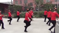 《百鸟朝凤》广场舞  安居宫白庄舞蹈队