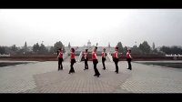 教广场舞的视频
