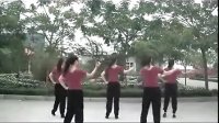 广场舞我要去西藏 广场舞教学