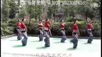 广场舞入门教学视频