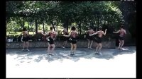 周思萍广场舞系列-自由舞 韩国冠军的士高