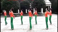 峡谷视频广场舞《竹楼情思》