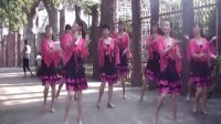 【舞动光泽】广场舞视频24——《又见山里红》
