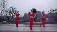 广场舞【老婆最大】高清视频-舞之国广场舞教学网