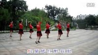 广场舞-蝴蝶不懂花的泪演示-林中曼舞健身队[5分27秒].mpg