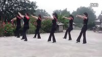 团洲湖1组广场舞：男人的心 标清