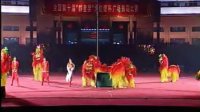 4、全国第十届群星奖广场舞决赛 河北队《狮舞》