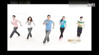 最炫民族风广场舞教学视频 标清