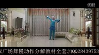 杨艺广场舞《蓝月谷》 最新广场舞教材视频