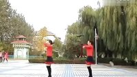 江南style视频 阳光玫瑰广场舞骑马舞教学[普清版]