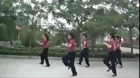 2013美久动动广场舞恰恰 今生相爱 广场舞蹈视频大全 标清
