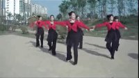 2013美久动动广场舞恰恰 迷茫的爱 广场舞蹈视频大全 标清