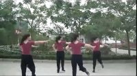 2013美久动动广场舞恰恰 荷塘月色 广场舞蹈视频大全 标清