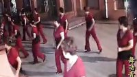 迪斯科广场舞一生无悔莱州舞动青春舞蹈队14步（清晰）