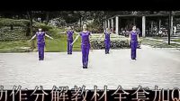 紫紫雨广场舞 吉米阿佳  简单广场舞 详细慢动作讲解