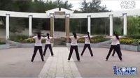广场舞蹈视频大全广场舞《火苗》