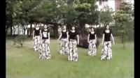 广场舞教学视频大全 广场舞系列-放松操 陪你一起去看草原