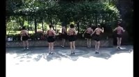 广场舞教学视频大全 广场舞系列-自由舞 韩国冠军的士高