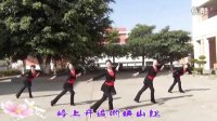 《映山红》李华广场舞（加字幕）