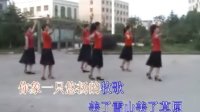 卓玛-广场舞蹈