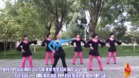北京龙潭广场舞、真的不容易