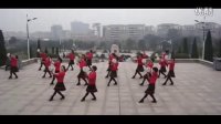 2013广场舞蹈--葬花吟