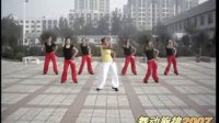 舞动旋律广场舞《最炫民族风》健身舞