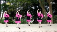 菊荣广场舞.快乐的跳吧