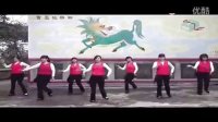 大湾广场舞——老婆最大16步