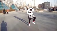张琳广场舞 美丽的蒙古包（分解动作)