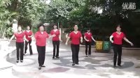 中老年广场舞 逛香港 标清