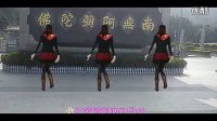 2013年最新广场舞—爱情神马价（正反面）