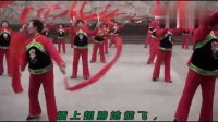 最新广场舞 中国歌最美 分解动作 含背面演示