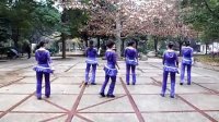 常德临江公园 活力广场舞 《疯狂的人生》