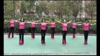 周思萍广场舞蹈视频大全 广场舞荷塘月色