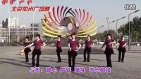 广场舞【我从草原来】凤凰传奇 高清视频-舞之国 标清