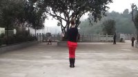 广场舞：活力加加背面教学视频。