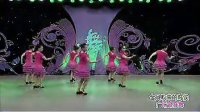 金风吹来的时候-杨艺周思萍2012最新全民广场舞（流畅）