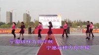 鳯玲舞队参加盐城第二届广场舞大联盟与歌手雨禾视频欣赏