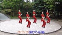 凤凰香香广场舞—大家一起来跳舞（正反面）