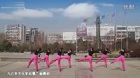 九江市文化宫向霞广场舞团 中国结 背面