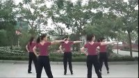 广场舞蹈视频大全 萱萱广场舞课堂 绿旋风