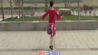 北京加州广场舞 又见山里红背面（教学）