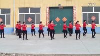 冯营村  梦之舞健身舞蹈队《一物降一物》广场舞