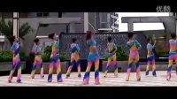 峡谷视频广场舞《送情郎》（含正反面演）教学视频教程