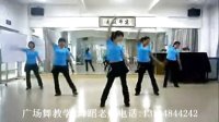 广场舞自由飞翔广场舞教学视频_高清