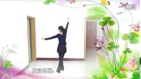 健身舞教学视频大全 凤凰传奇广场舞 中国味道