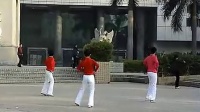 《凤凰姑娘》自拍中老年广场健身舞