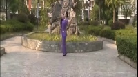 梅花泪广场舞教学视频,自学舞蹈中四（附背面和分解)